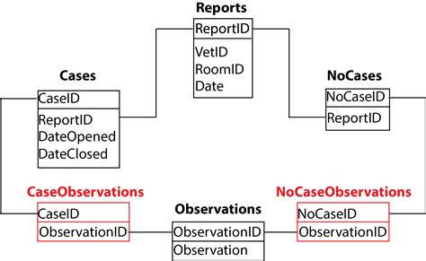 Database Design – Does This Simple Design Work if Cyclic? – Unix Server ...