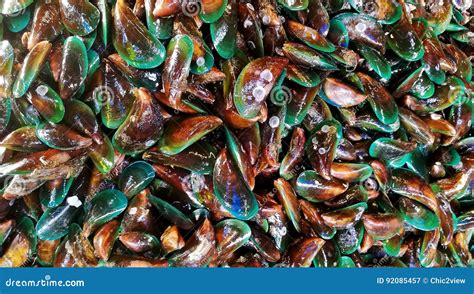 A Lot of Perna Viridis or Fresh Green Mussel in Seafood Market Stock ...