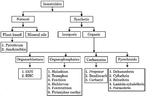 1: Flow chart of the types of Insecticides | Download Scientific Diagram