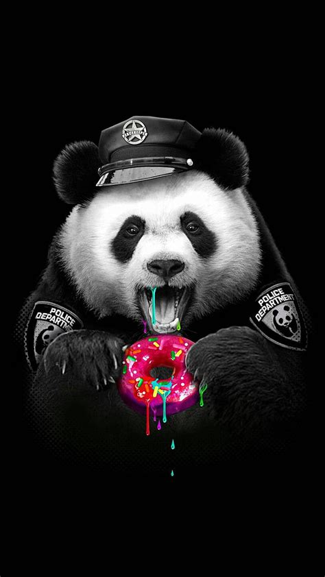 Panda bear, frog, panda, fantasy, luminos, apofiss, bear, hat, HD ...