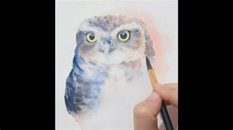 Little Owl watercolor speedpaint - YouTube