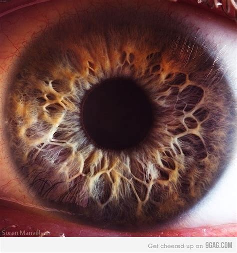 Extreme Human Eye Close-up | Macro photography eyes, Eye photography ...