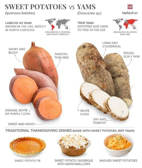 Sweet Potatoes vs Yams | Sweet potato benefits, Food facts, Sweet ...