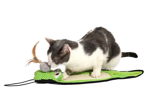 Best Cat Toys for Indoor Cats - Interactive Toys Reviewed | iPetCompanion