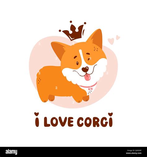 Cute corgi puppy with crown and quote - I love corgi. Vector ...