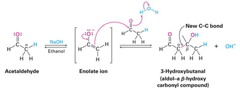 Carbonyl Condensation Reactions | Wyzant Resources