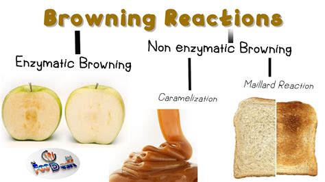 Browning Reactions in Food - YouTube