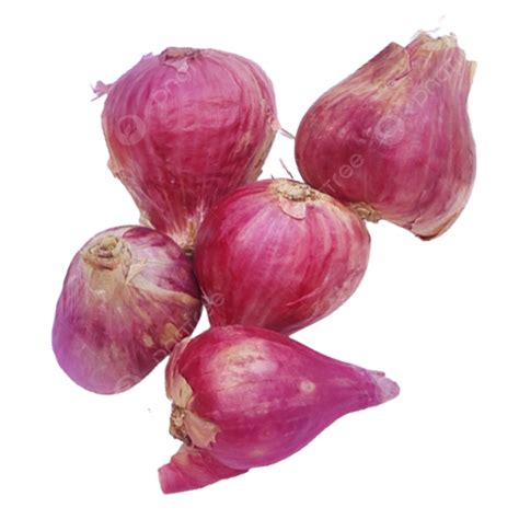 Bawang Merah PNG Image, Bawang Merah Transparan, Onion, Herb ...