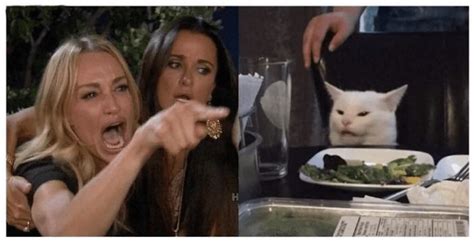 Woman Yelling At Cat Meme Template