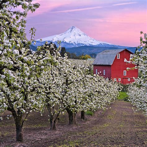 Fruit Loop | Mt. Hood and the Columbia River Gorge