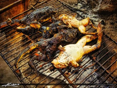 Roasted Frog for Dinner Thailand | Royal Stock Photo