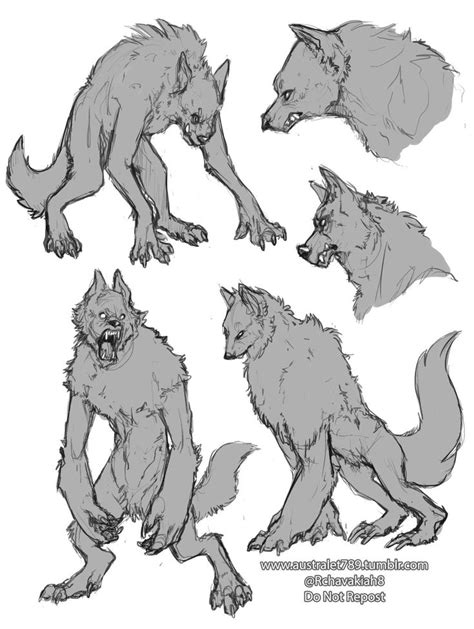 Pin by Lindomar Júnior on esboço mutação in 2024 | Werewolf drawing ...