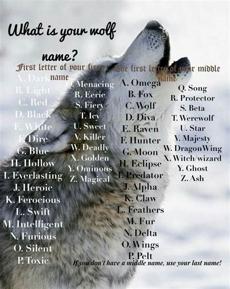 Pin by Duma Dana on Art | Wolf name, Wolf quotes, Funny name generator