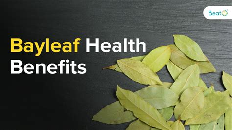 7 Astonishing Bayleaf Benefits For Good Heart & Hair Health - Diabetes Blog