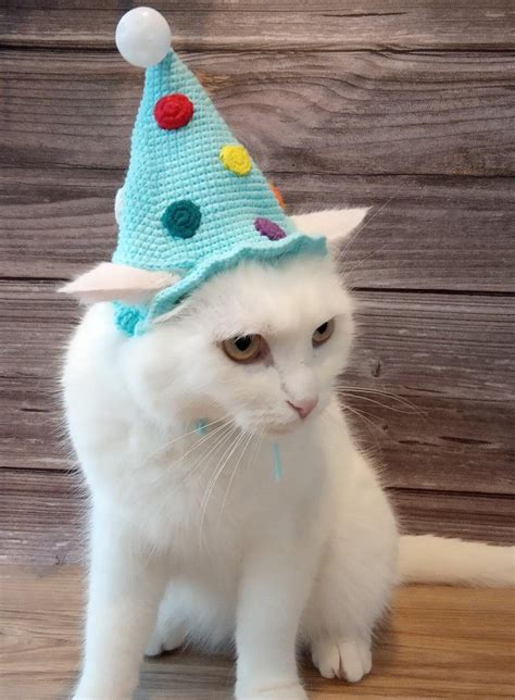 Cat birthday hat Crochet hat kitten Hats for dog Cats wearing | Etsy