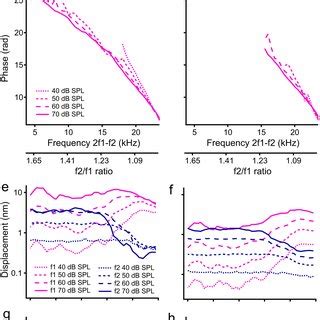 Magnitude spectra of reticular lamina (RL) and basilar membrane (BM ...