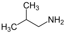 Quiz & Worksheet - Naming Amines with IUPAC Nomenclature | Study.com