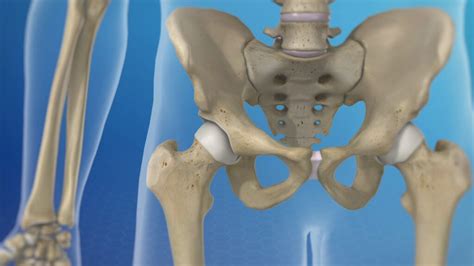 Hip Ball and Socket Joint Problems: Treatment Methods of It