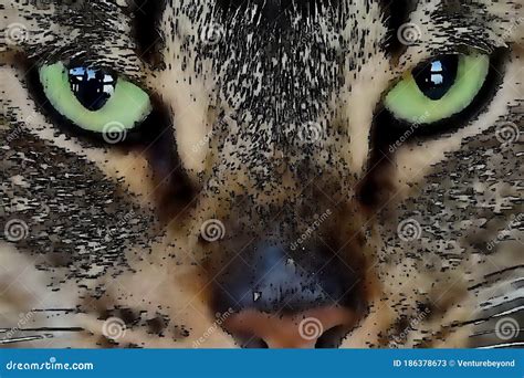 Abstract Art: Cat`s Eye Reflection of Photographer Stock Illustration ...