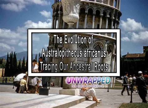 The Evolution of Australopithecus africanus Tracing Our Ancestral Roots