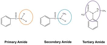 Amide Functional Group