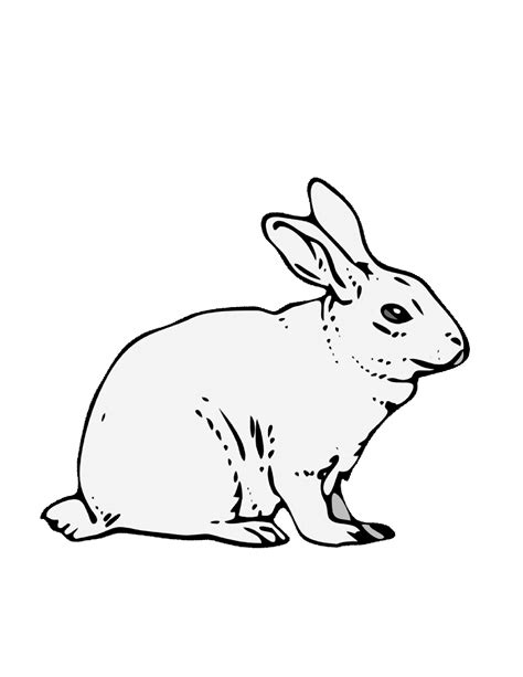 Rabbit Printable Coloring Pages