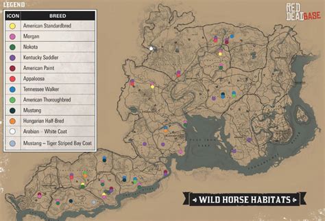 Mustang | RDR2 Horse Breeds Coats, Locations & Stats