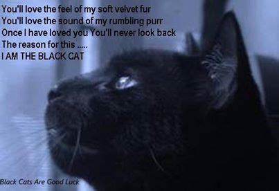 black cat poem | Stuff I Love | Pinterest