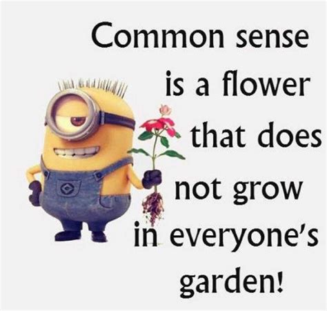 Funny Minions Quotes Of The Week