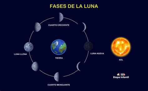 Fases de la luna en inglés para niños - Imagui