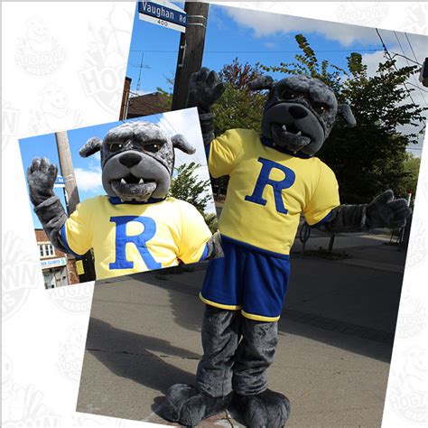 7 Most Popular Types of High School Mascots - Custom Mascot Costumes ...