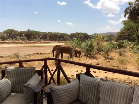 Top Luxury Safari Lodges in Kenya that Are Worth A Visit | Drink Tea ...