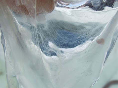 Fashion Gets Slimy - How Hagfish Slime Could Be Used in Clothing ...