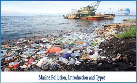 What is marine pollution and its types - Netsol Water