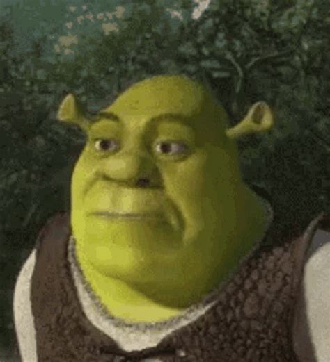 Shrek 2 Fiona Gif