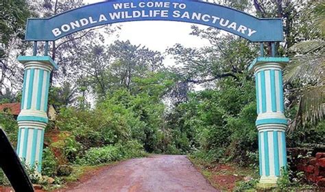 EXPLORING GOA WILDLIFE NATIONAL PARKS AND SANCTUARIES TO VISIT | by ...