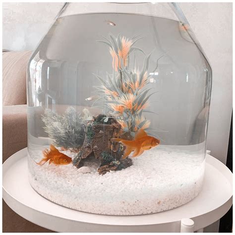 Pin by Savannah Kitner on fish tanks in 2020 | Betta fish bowl, Diy ...