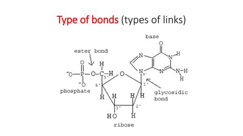 Functions and structures of DNA and nucleotide - online presentation