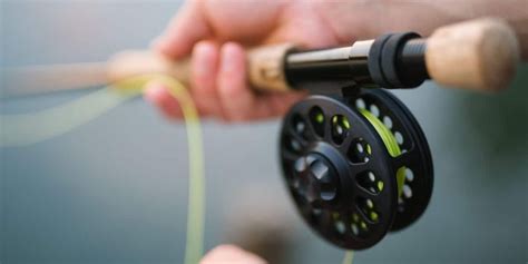 Carp Fishing Rods And Reels: How to choose? | Farmvina