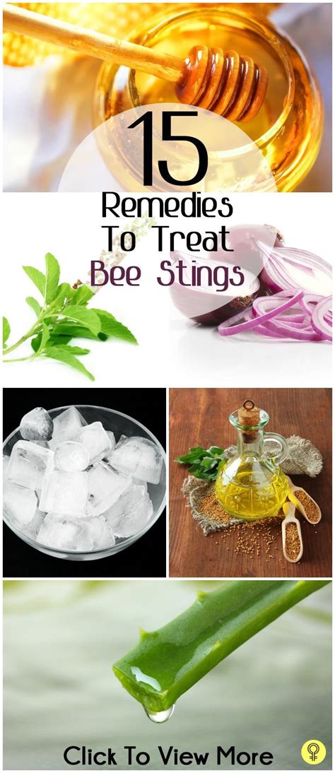 bee stings home remedies | Home Remedies | Remedies for bee stings ...