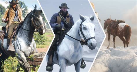 Red Dead Redemption 2: 19 Horses Ranked, Worst To Best