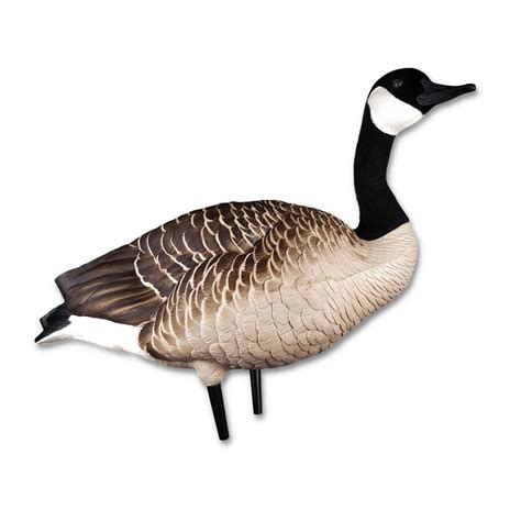 Goose Decoys - Market's Finest Available Now | Lucky Hunter