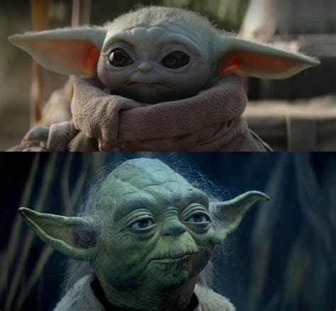 Yoda Meme Do Or Do Not