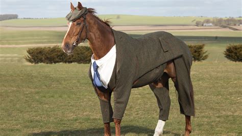 A Horse Wore A Suit Today | GQ