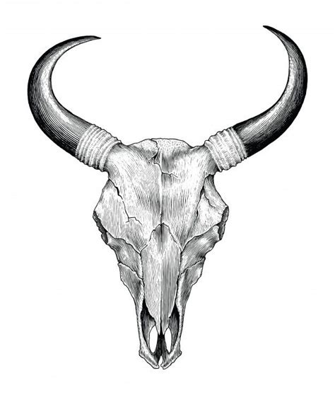 Bull Skull Drawing Tutorial | 101hannelore