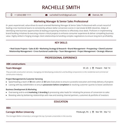 One Page Resume - Ultimate 2021 Guide With 10+ Examples and Samples