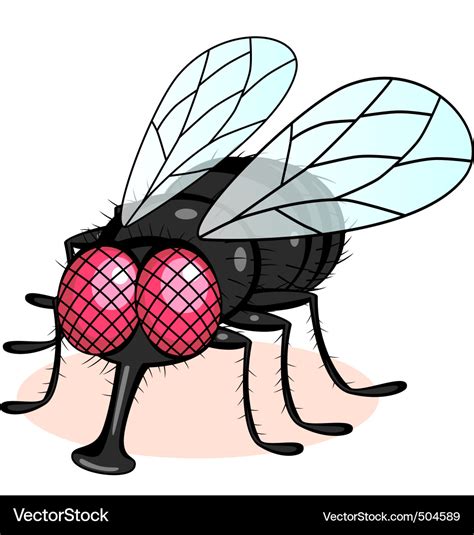 Fly cartoon Royalty Free Vector Image - VectorStock