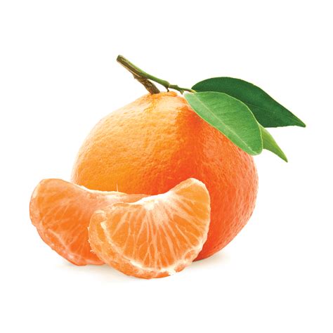 S and J Mandarin Grove – Organic Mandarin Oranges in Newcastle, CA ...