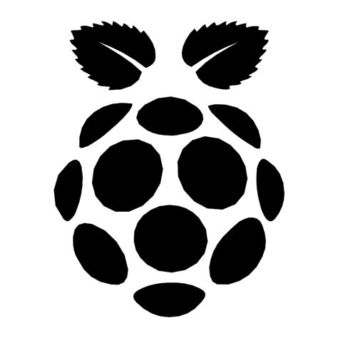 Raspberry Pi Logo Icon