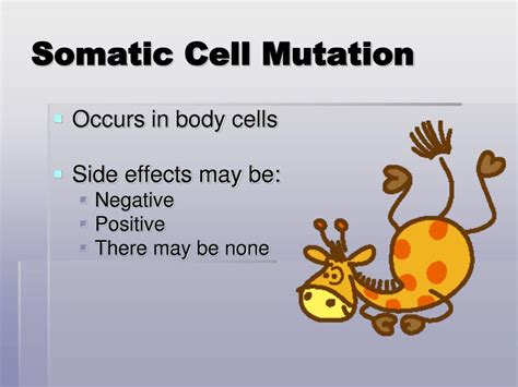 PPT - Mutations PowerPoint Presentation, free download - ID:3623802